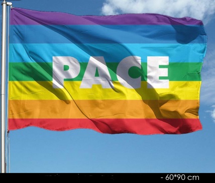 Regenbogen Fahne PACE 60x90cm