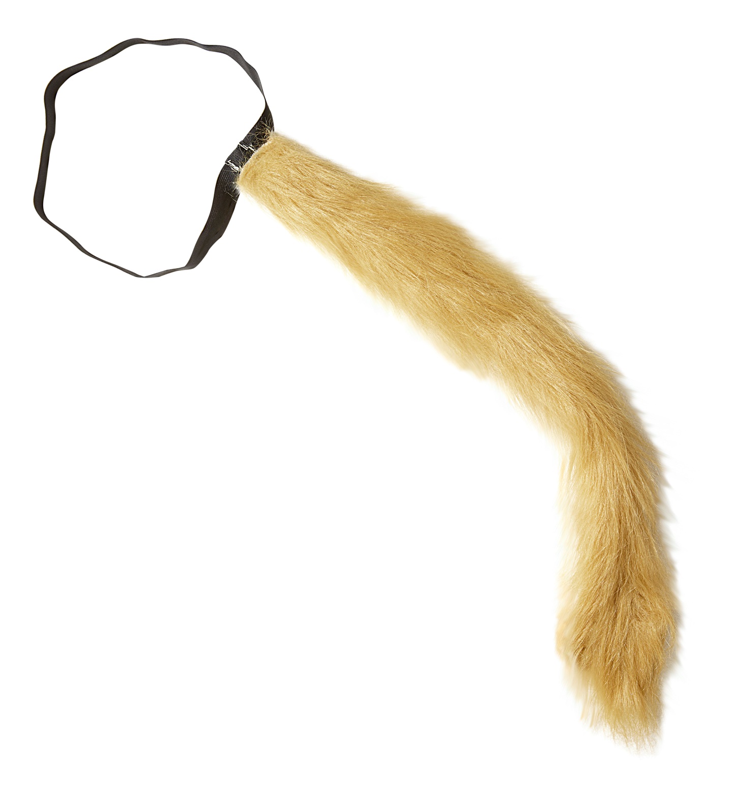 Löwen Schwanz braun   *)