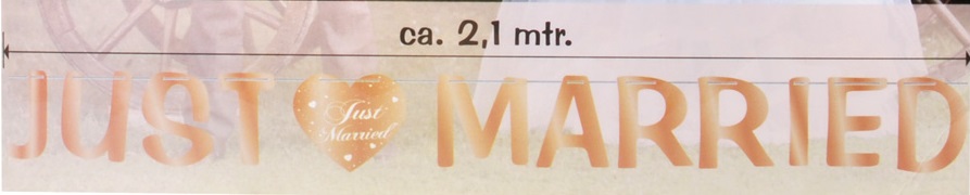 Buchstabenkette  "Just Married" rose  ca. 2,1m aus Karton