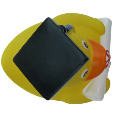 Badeente mit Doktor Hut 8cm