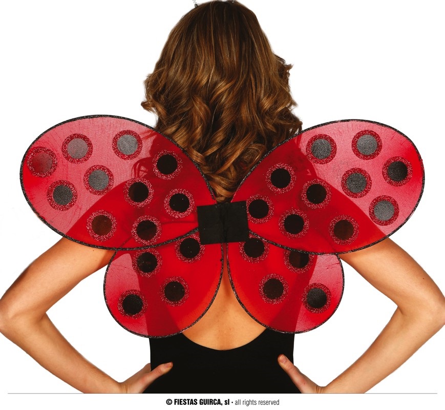 Käfer Flügel ca. 52x42cm